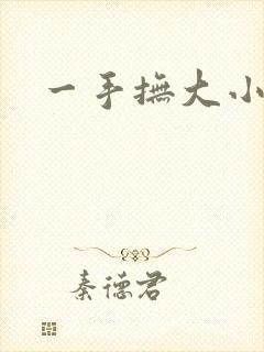 一手抚大小说