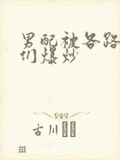 男配被各路大佬们爆炒