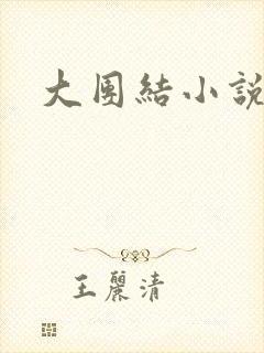 大团结小说全文