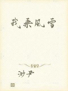 我乘风雪