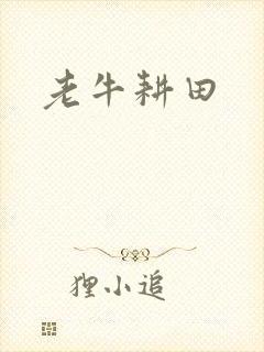 老牛耕田
