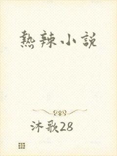 热辣小说