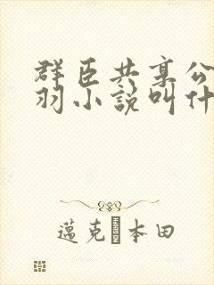 群臣共享公主银羽小说叫什么