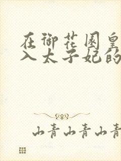 在御花园皇上进入太子妃的小说