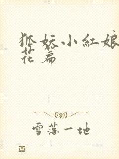 狐妖小红娘两生花篇封面