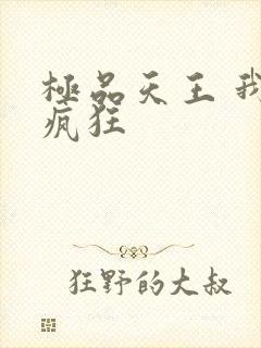 极品天王 我本疯狂