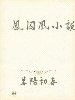 凤囚凰小说