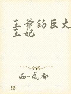 王爷的巨大进入王妃