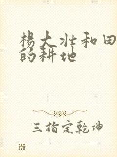 杨大壮和田桂花的耕地