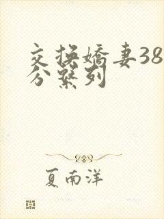 交换娇妻38部分系列