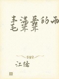 《丰满岳的两腿间毛茸茸》小说封面