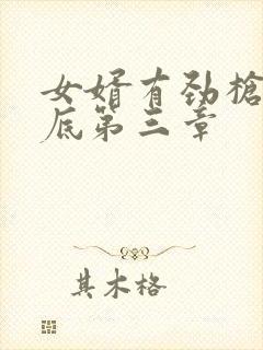 女婿有劲枪枪到底第三章