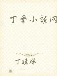 丁香小说网