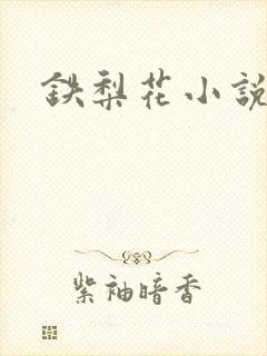 铁梨花小说