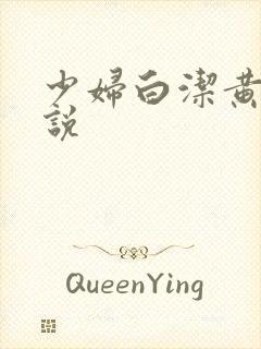 少妇白洁黄色小说