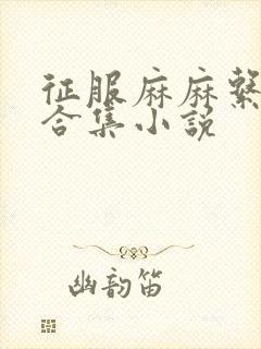 征服麻麻系列大合集小说