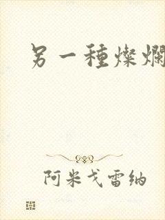 另一种灿烂生活