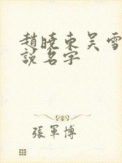 赵晓东吴雪晴小说名字