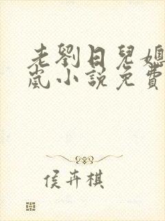 老刘日儿媳妇张岚小说免费阅读