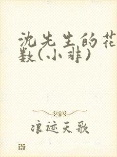 沈先生的花式调数(小非)