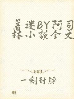 着迷BY阿司匹林小说全文免费阅读