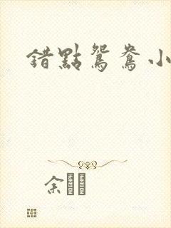 错点鸳鸯小说