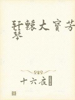 轩辕大宝芳菲雅琴