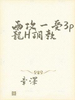 两攻一受3p双龙H调教