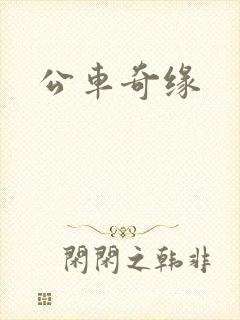 公车奇缘