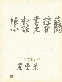 绝对掌控苏绵绵小说免费阅读全文