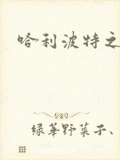 哈利波特之守护