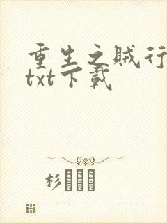 重生之贼行天下txt下载
