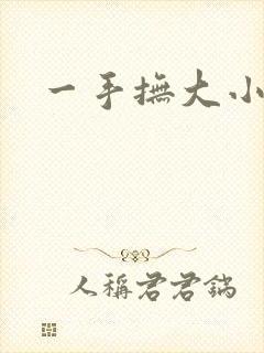 一手抚大小说