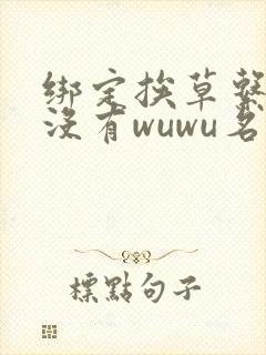 绑定挨草系统后没有wuwu名字