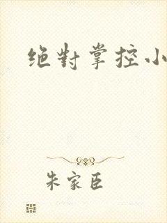 绝对掌控小说