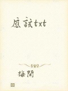 应该txt