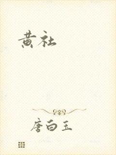 黄社封面