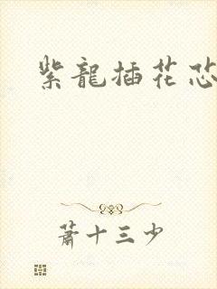 紫龙插花芯方正