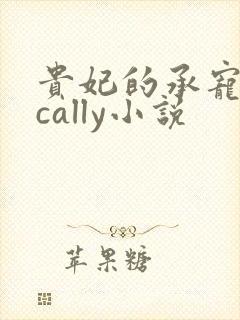 贵妃的承宠日常cally小说