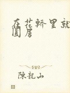 在花轿里就开始圆房