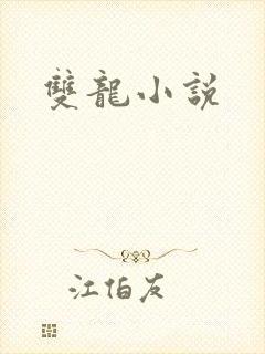 双龙小说