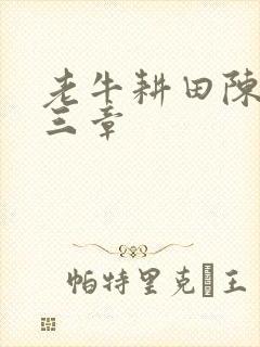 老牛耕田陈雪第三章