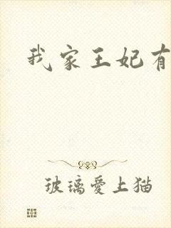我家王妃有点野