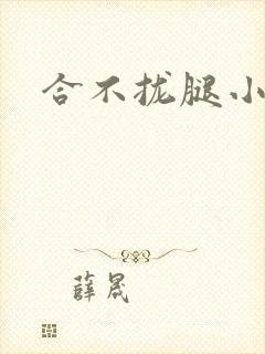 合不拢腿小说