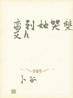 脔到她哭双根宫交h