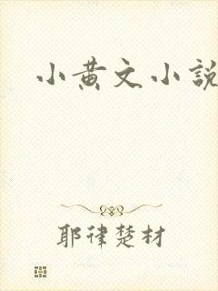 小黄文小说