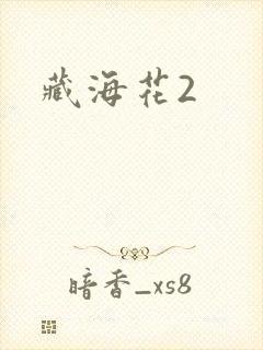 藏海花2