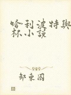 哈利波特与火焰杯小说