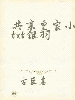 共享皇家小公主txt银羽