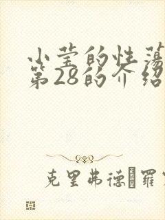 小莹的性荡生活第28的介绍